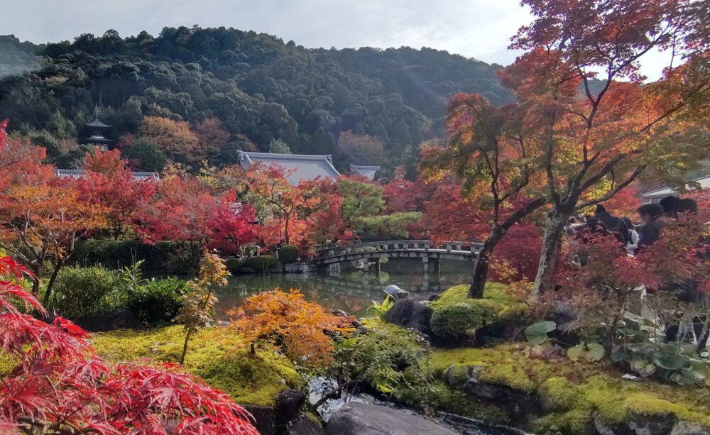 The pond garden in Rinzenji temple