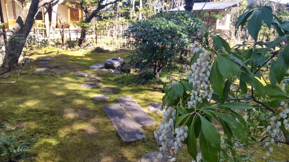 Inner garden of Rakusui-en with Japanese Andromeda and  stepping stones 