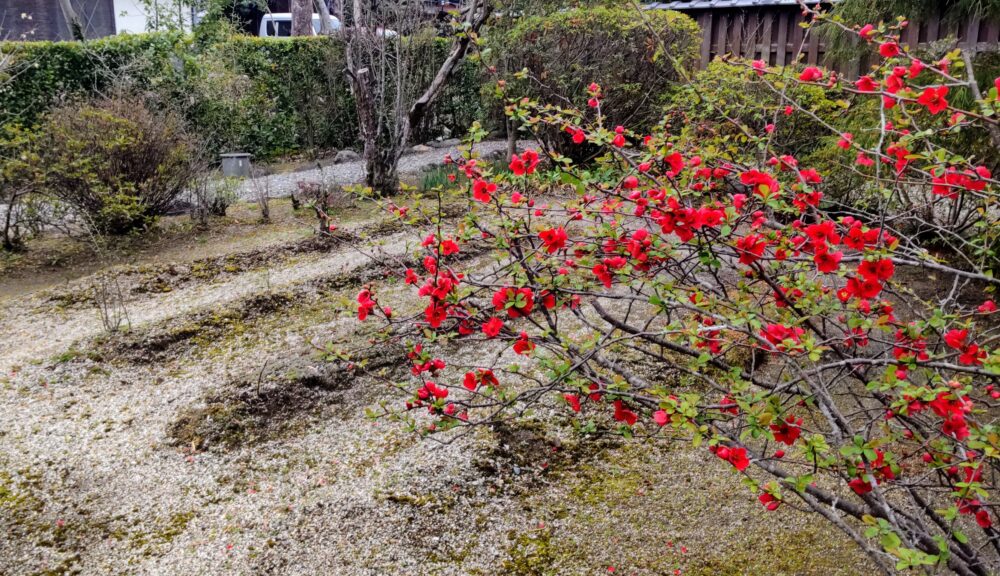 The entry garden in Former Residence of the Toshima Family, 