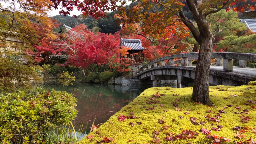 Hojo pond of Eikan-do in fall foliage 