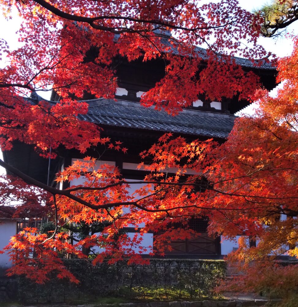"Denshoro" with fall leaves in Tofuku-ji