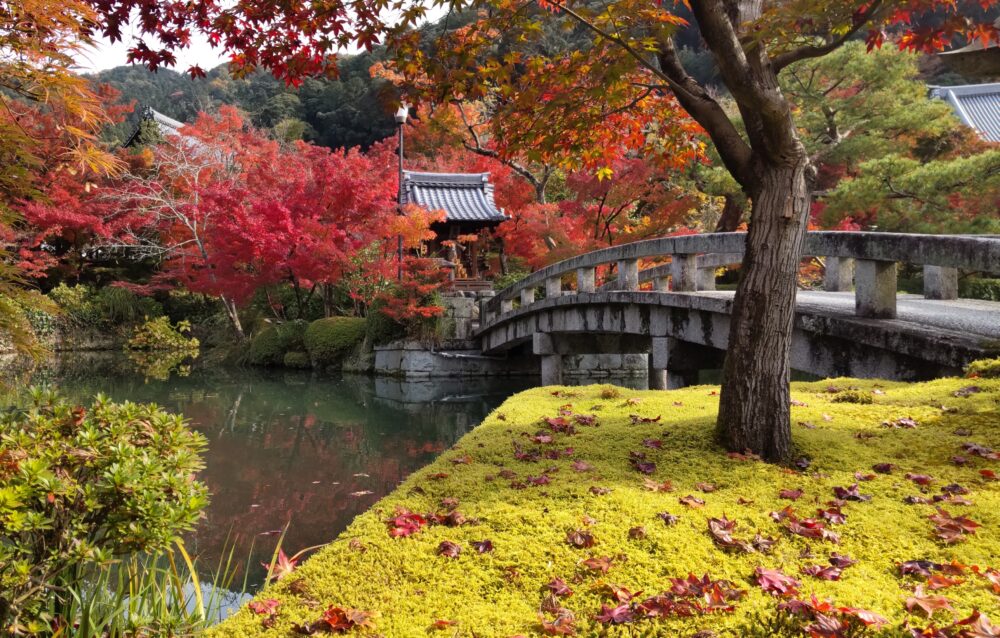 the strolling pond garden at Eikando Zenrin-ji in fall season