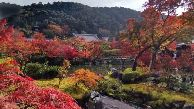 Eikando Zenrin-ji | the best time to visit in 2024