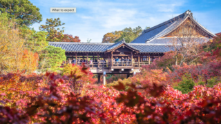 One-Day Tour of Kyoto Tofukuji Temple, Fushimi Inari Shrine, and Kifune Shrine