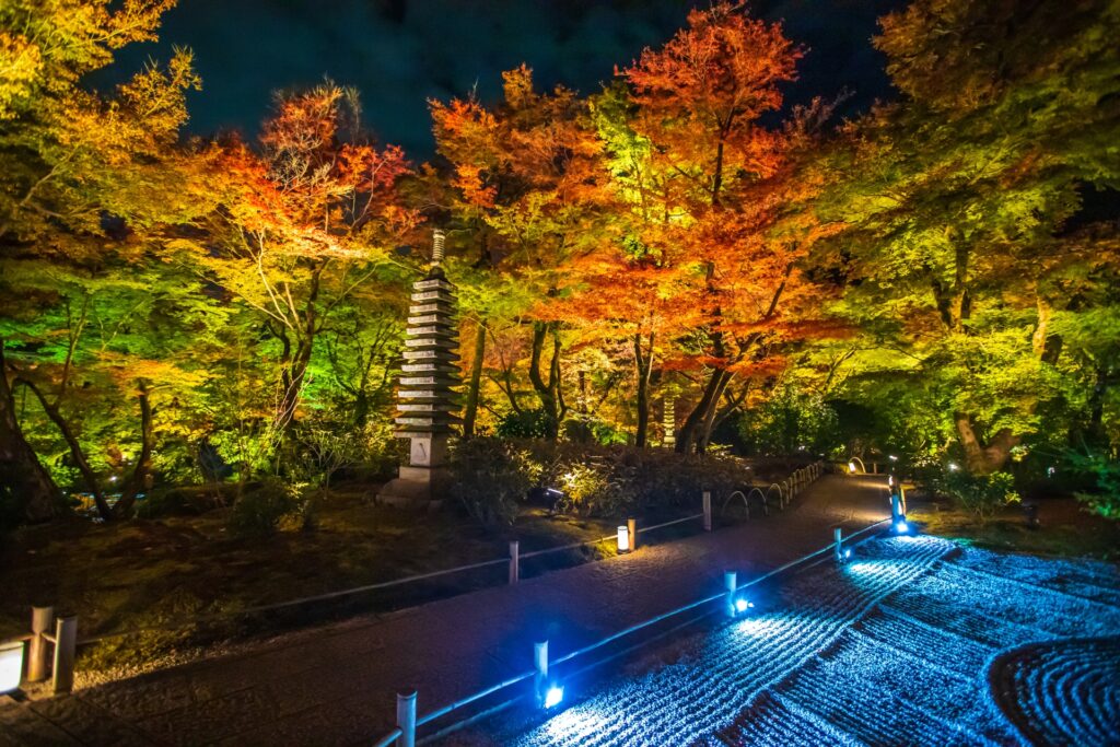 Illuminated Garden in Hongo-in temple