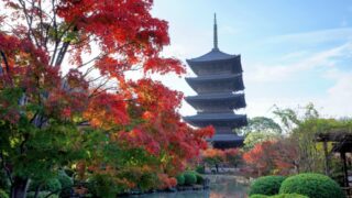 Toji Temple | The best time to visit in 2024