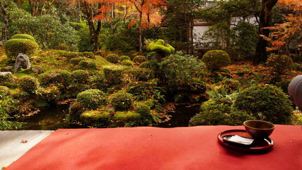 Sanzen-in temple in autumn season