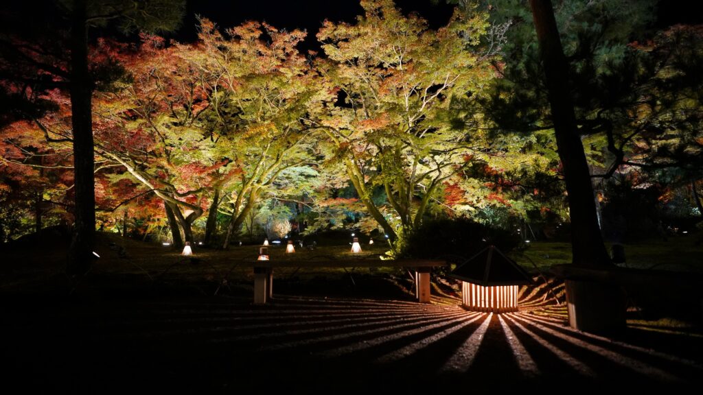 Hogoin-Temple in Nighttime Illumination