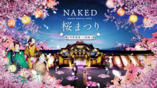 NAKED Sakura Festival 2024 World Heritage Nijo Castle Admission Ticket