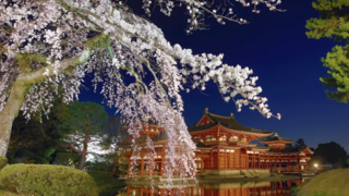 [Byodoin Temple] Exclusive Night-time Visit