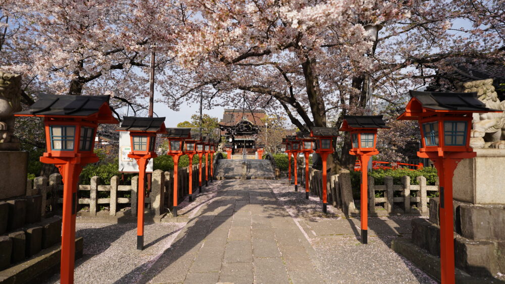 cherry blossoms in Rokusonou Shrine