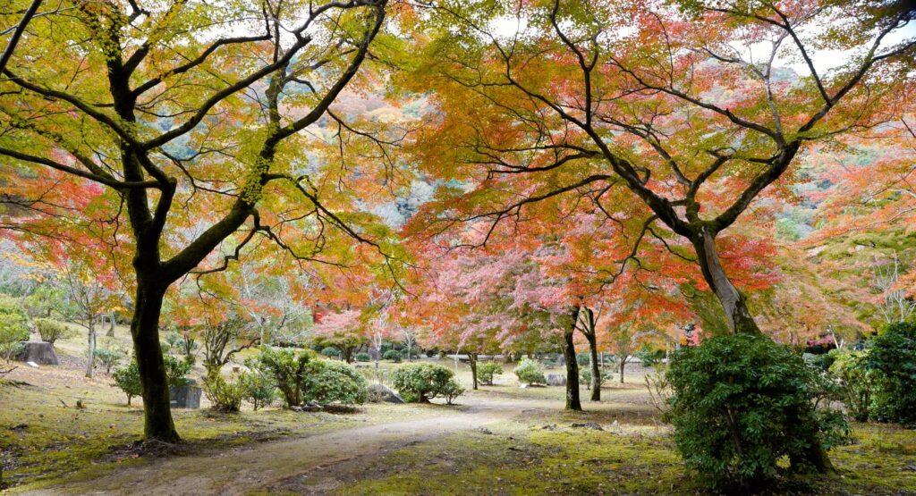 Arashiyama Park in fall season