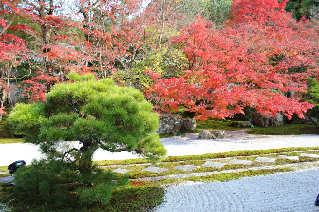 Higash Tei (East Garden) in Tenjuan