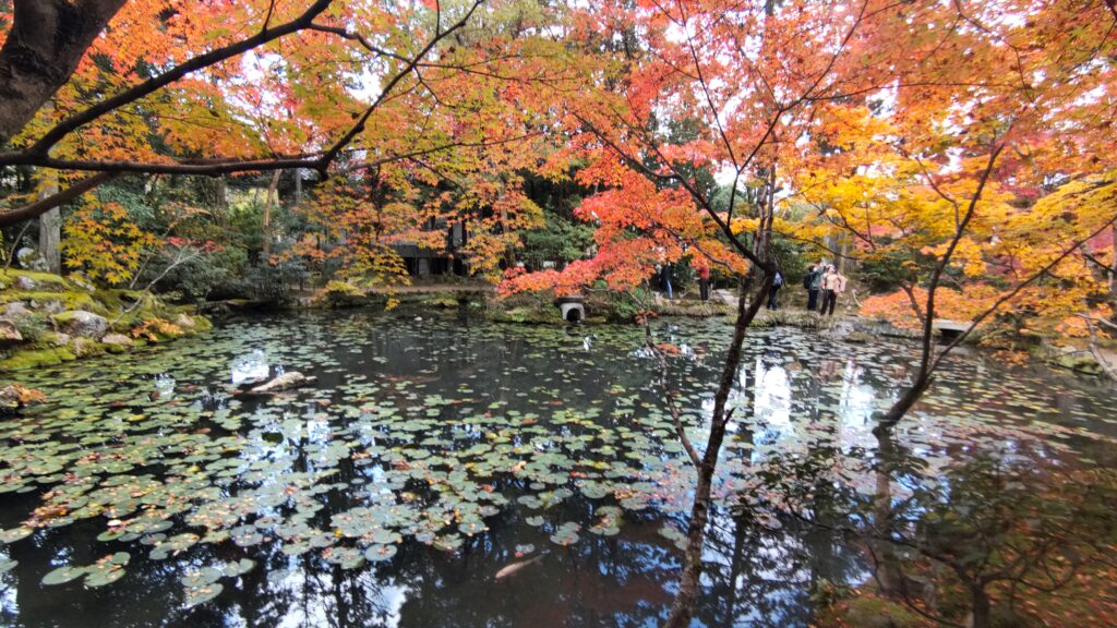 Nan Tei (South Garden) in Tenjuan