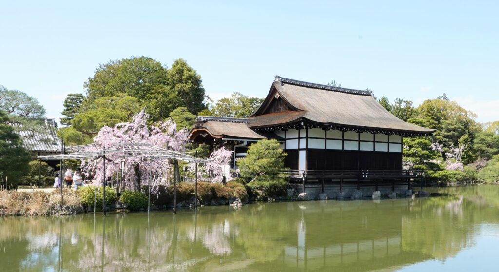 Shobikan(Gest House) with a weeping Cherry blossom in Heian Jingu Shrine